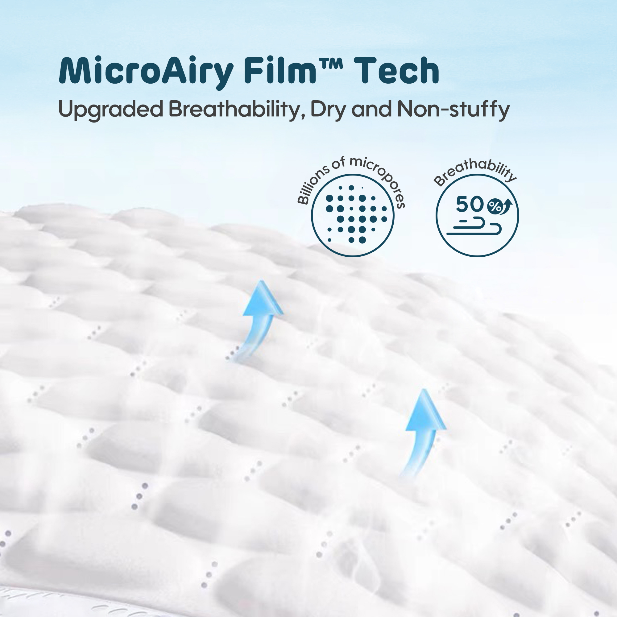 Serviettes Hygiéniques (pâte de bois * 245mm de 8 serviettes)